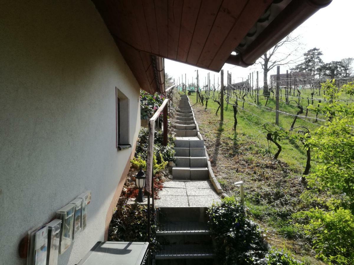 Penzion Nad jezerem Pavlov Exterior foto